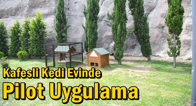 Kafesli Kedi Evinde Pilot Uygulama