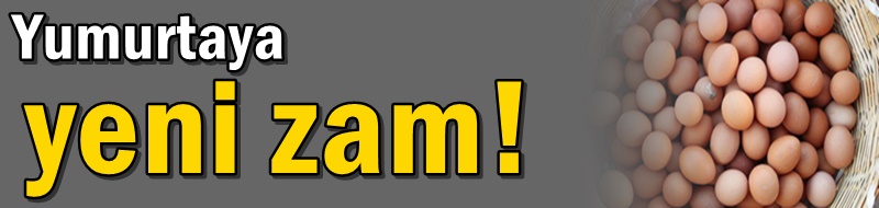 Yumurtaya yeni zam!