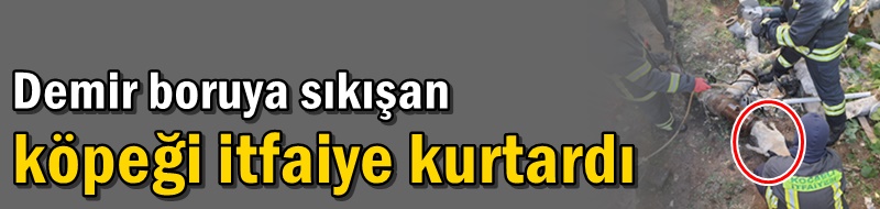 Demir boruya sıkışan köpeği itfaiye kurtardı
