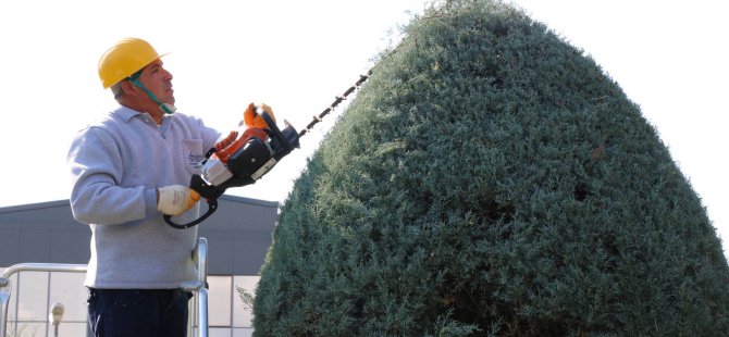 Büyükşehir’den ağaçlara estetik dokunuş