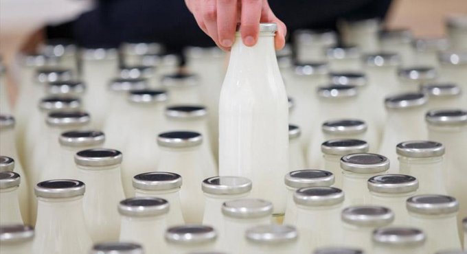 Süt ürünü etiketlerine 'köy', 'ev', 'geleneksel' yazılamayacak