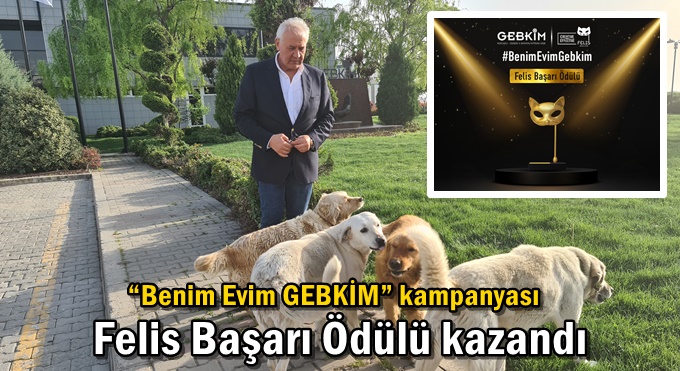 GEBKİM'den sokak hayvanlarına mutlu bir yuva