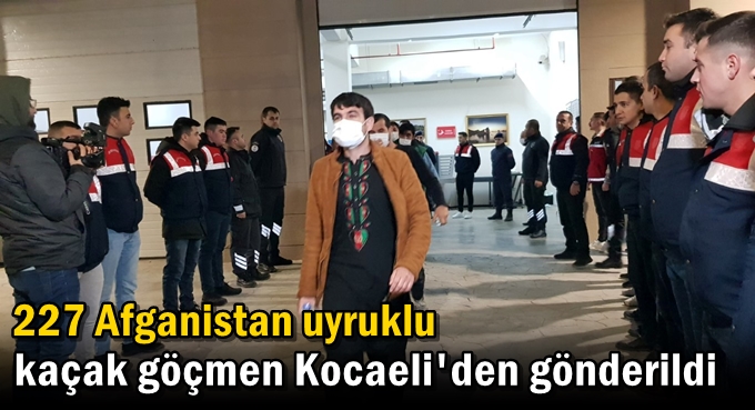 227 Afganistan uyruklu kaçak göçmen Kocaeli'den gönderildi