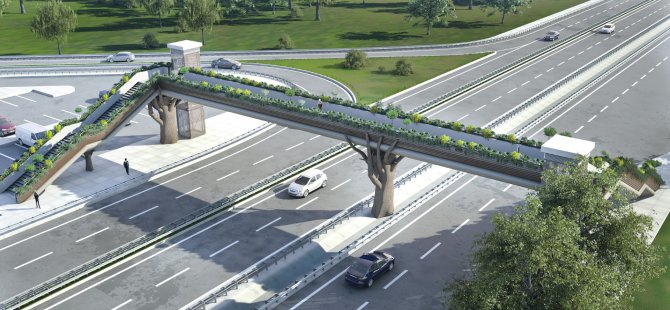 Ormanya’ya doğa temalı üst geçit