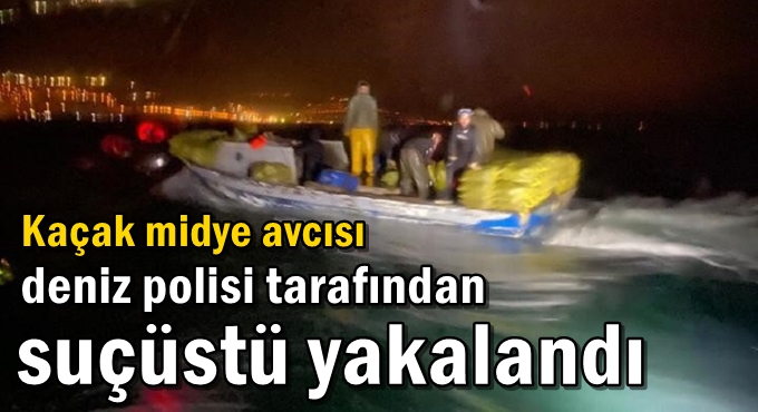 Dilovası'nda kaçak midye operasyonu!