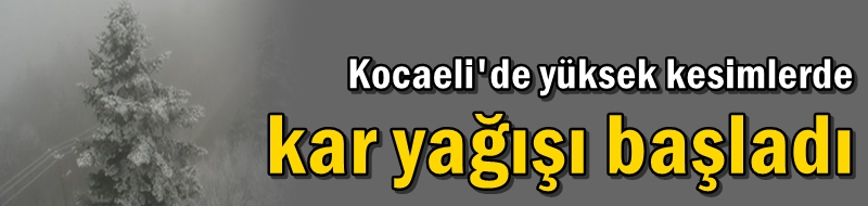 Kocaeli'de yüksek kesimlerde kar yağışı başladı