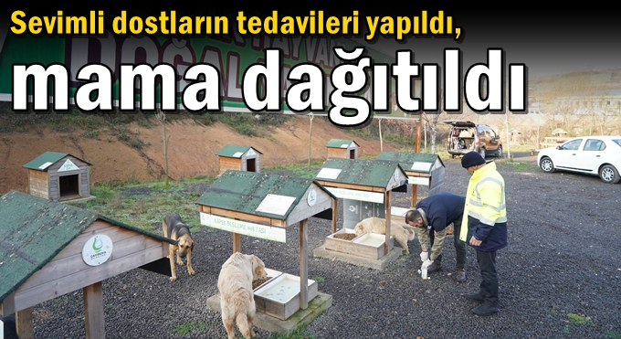 Sevimli dostların tedavileri yapıldı, mama dağıtıldı