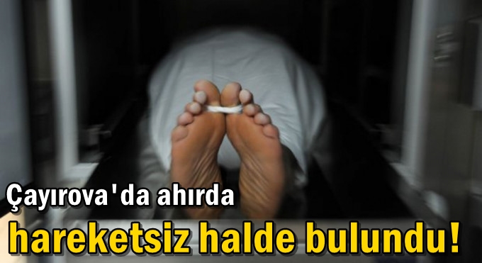 Ahırda hareketsiz halde bulundu!