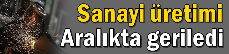 Sanayi üretimi aralıkta geriledi