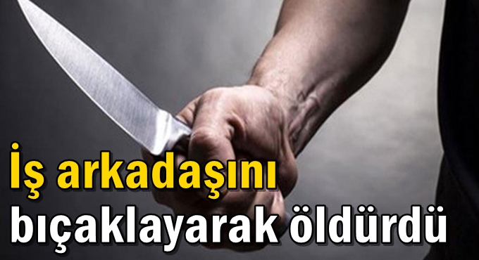 İş arkadaşını bıçaklayarak öldürdü