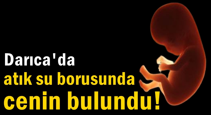 Darıca'da atık su terfi merkezinin tahliye borusunda cenin bulundu!