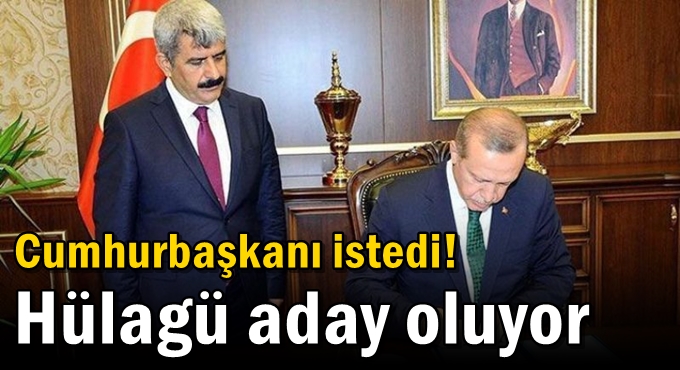 Cumhurbaşkanı istedi! Hülagü aday oluyor