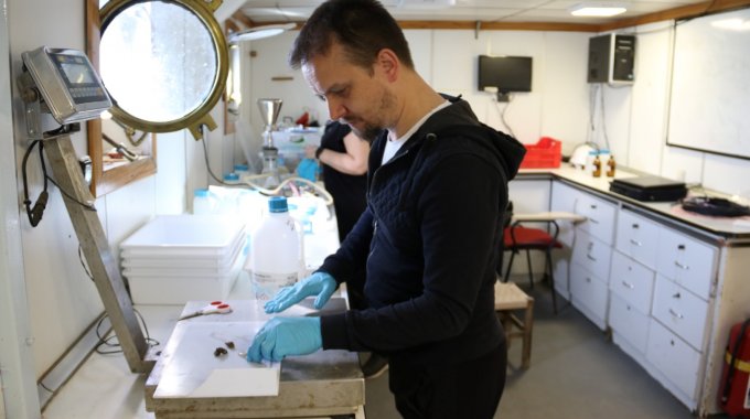 İzmit Körfezi’nde deniz yaşamı kayıt altında