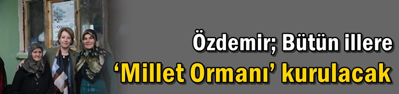 Bütün illere ‘Millet Ormanı’ kurulacak