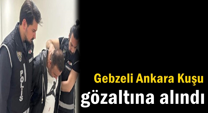 Gebzeli Ankara Kuşu gözaltına alındı