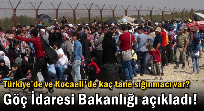 Türkiye’de ve Kocaeli'de kaç tane sığınmacı var?