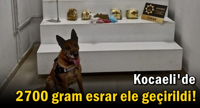 2700 gram esrar ele geçirildi!