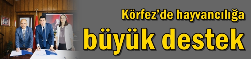 Körfez’de hayvancılığa büyük destek
