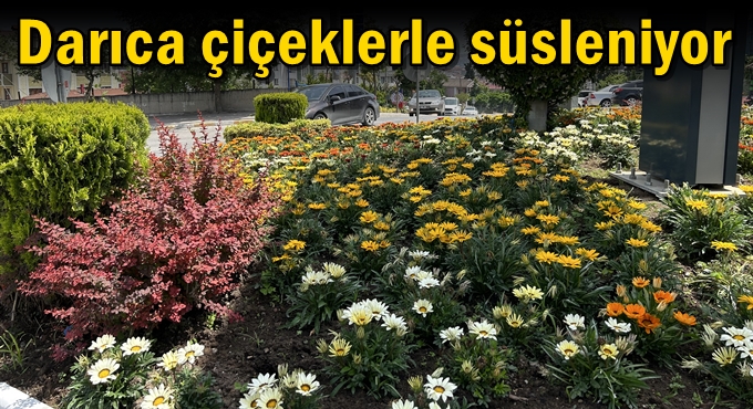 Darıca çiçeklerle süsleniyor