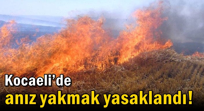 Kocaeli’de anız yakmak yasaklandı!