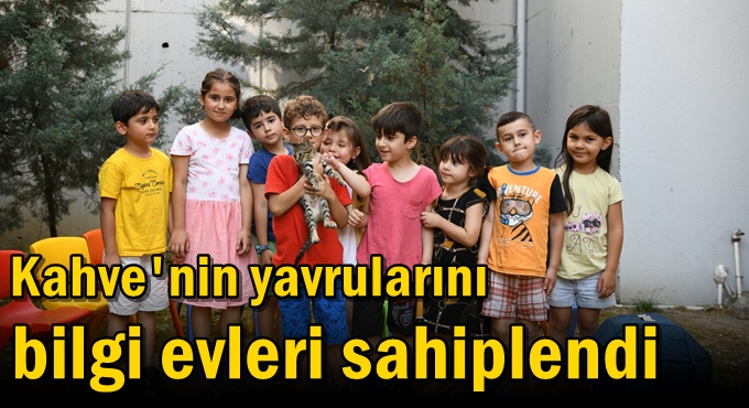 Kahve'nin yavrularını bilgi evleri sahiplendi