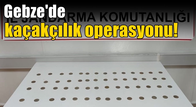 Jandarma 56 adet sikke ele geçirdi!