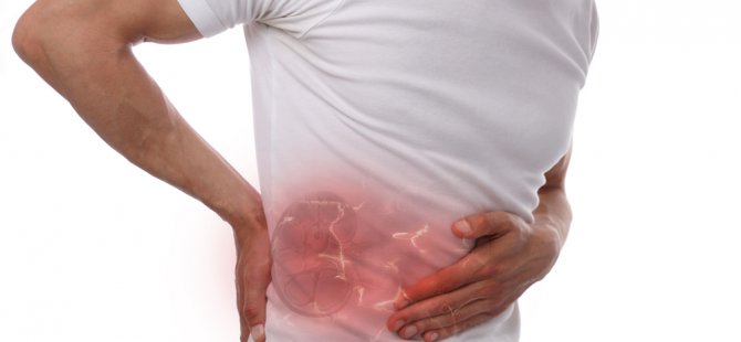 BÖBREK TAŞINDAN KORUYACAK 10 BESLENME ÖNERİSİ