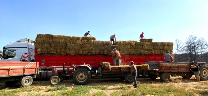 Kocaeli’den, Çanakkale’deki yangın mağduru çiftçilere destek
