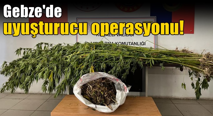 Gebze'de uyuşturucu operasyonu!