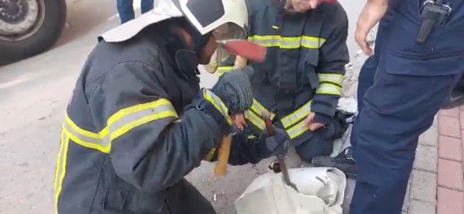 Lavaboya sıkışan yavru kedi kurtarıldı