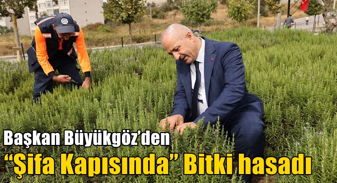 Başkan Büyükgöz’den  “Şifa Kapısında” Bitki hasadı