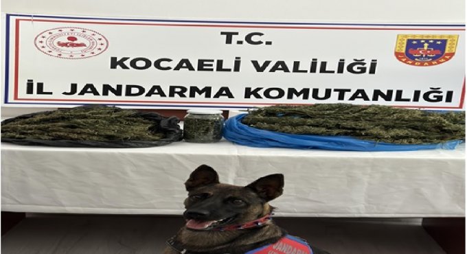 Kocaeli'de uyuşturucu operasyonu!