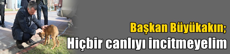 ”Hiçbir canlıyı incitmeyelim”