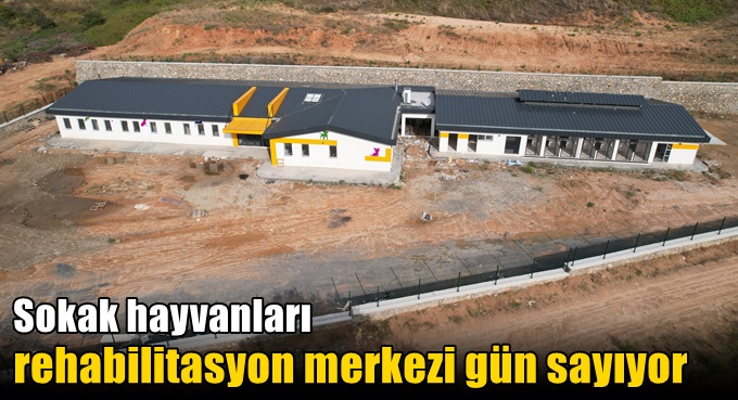 Sokak hayvanları rehabilitasyon merkezi gün sayıyor