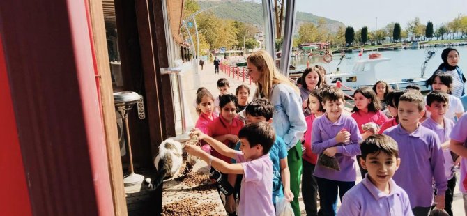 Körfez’de, 4 Ekim Hayvanları Koruma Günü kutlandı