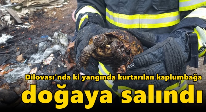 Yangından kurtarıldı suyla soğutuldu doğaya salındı