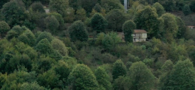 Kuzuyayla Tabiat Parkı huzurun adresi olacak