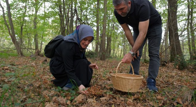 Ormanya’da mantar avı düzenlendi