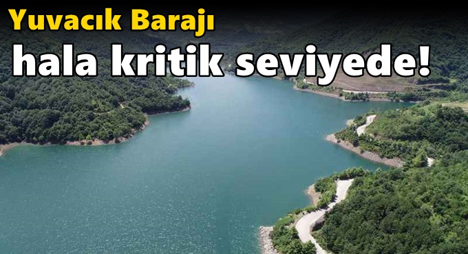 Yağmurlar yağdı ama Yuvacık Barajı hala kritik seviyede!