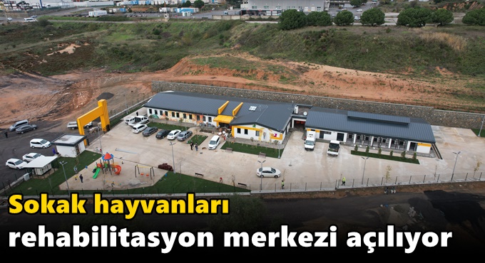 Sokak hayvanları rehabilitasyon merkezi açılıyor