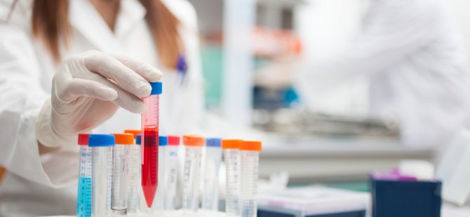 Kanser tedavisinde immünoterapi dönemi!