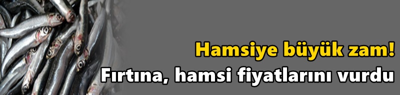 Hamsiye büyük zam! Fırtına, hamsi fiyatlarını vurdu