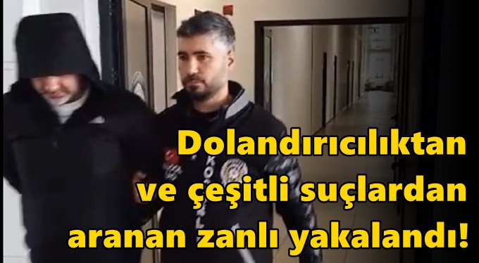 Dolandırıcılıktan ve çeşitli suçlardan aranan zanlı yakalandıktan sonra serbest bırakıldı!