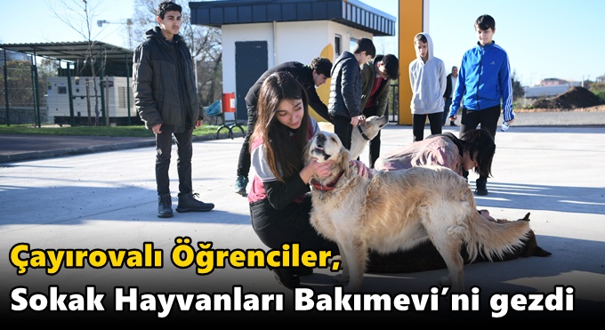 Öğrenciler, Sokak Hayvanları Bakımevi’ni gezdi