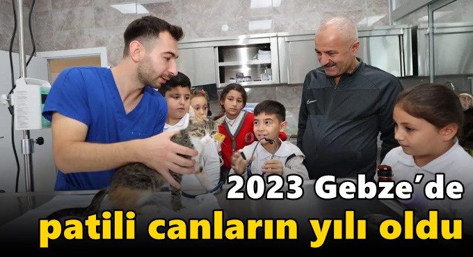2023 Gebze’de Patili  Canların Yılı Oldu