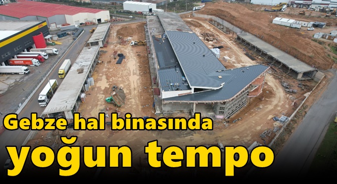 Hal binasında yoğun tempo