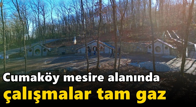 Cumaköy Mesire Alanında Çalışmalar Tam Gaz