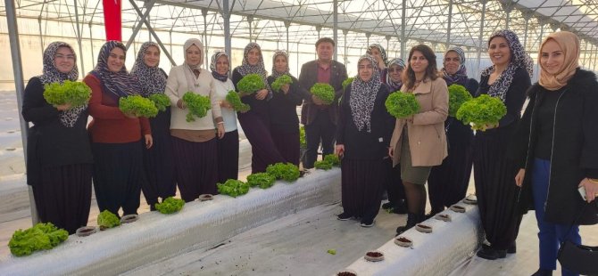 Topraksız tarım projesine kadın çiftçilerden yoğun ilgi
