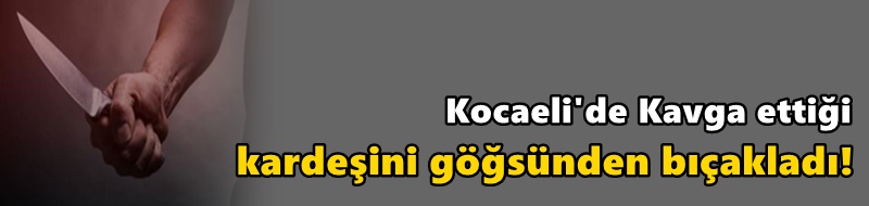 Kavga ettiği kardeşini göğsünden bıçakladı!