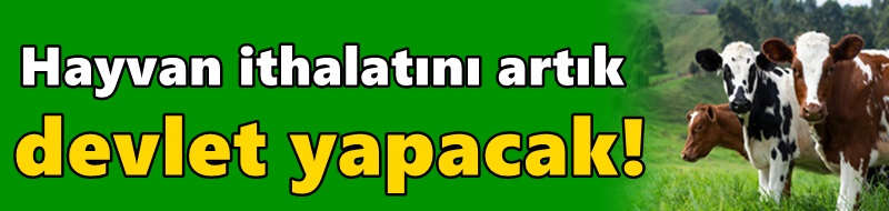 Hayvan ithalatını artık devlet yapacak! Yeni dönem başlıyor